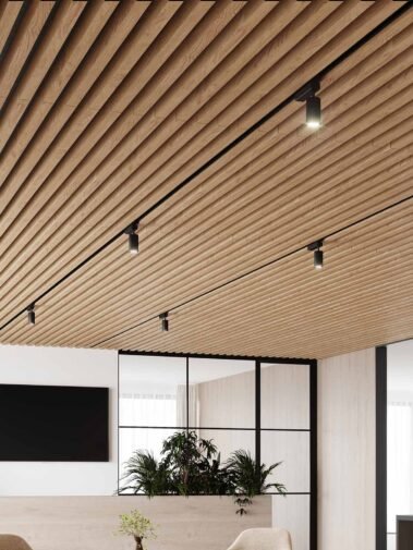 Linear Ceiling-5